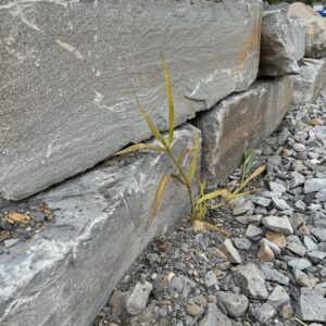 boulders stackable wall stone stone garden wall